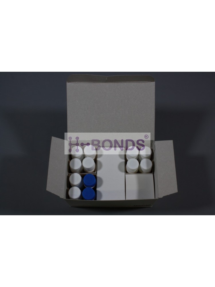HUMAN REAGENT ALKALINE PHOSPHATASE COLOR  KIT 10X10ML
