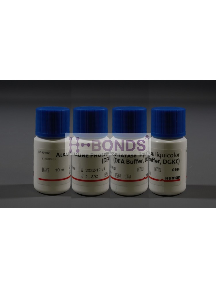 HUMAN REAGENT ALKALINE PHOSPHATASE COLOR  KIT 10X10ML