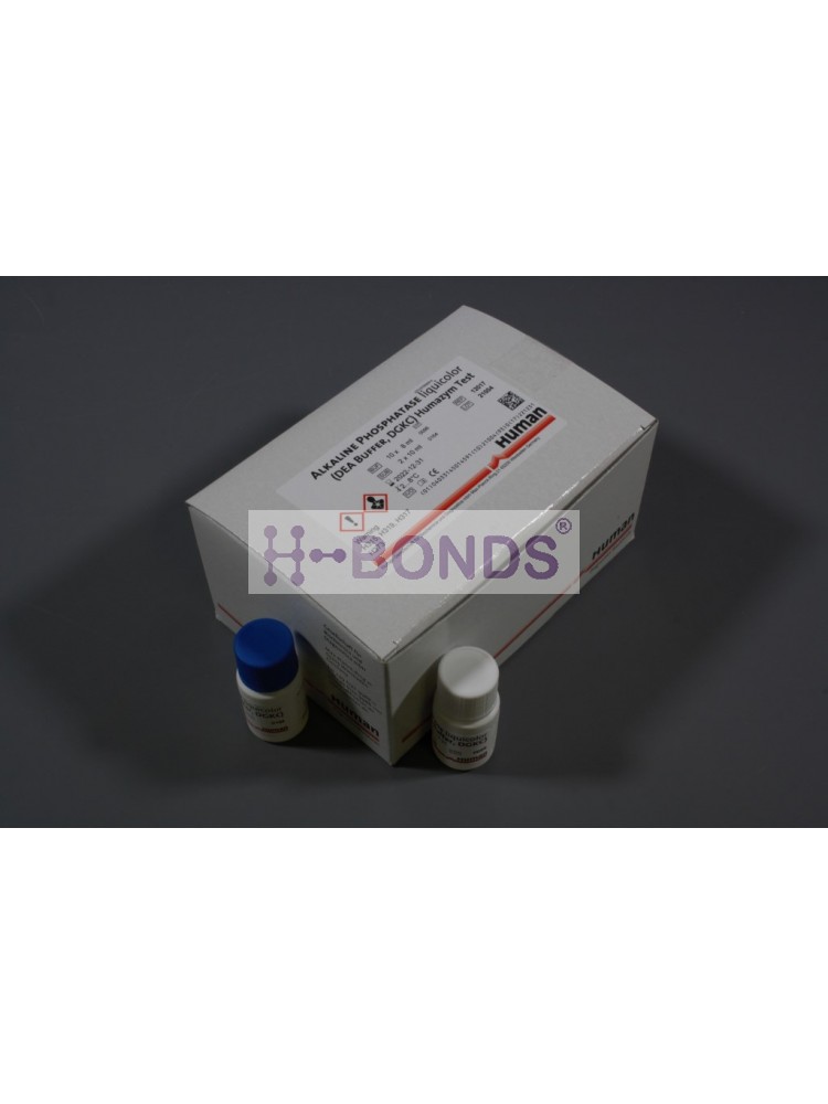 HUMAN REAGENT ALKALINE PHOSPHATASE COLOR  KIT 10X10ML