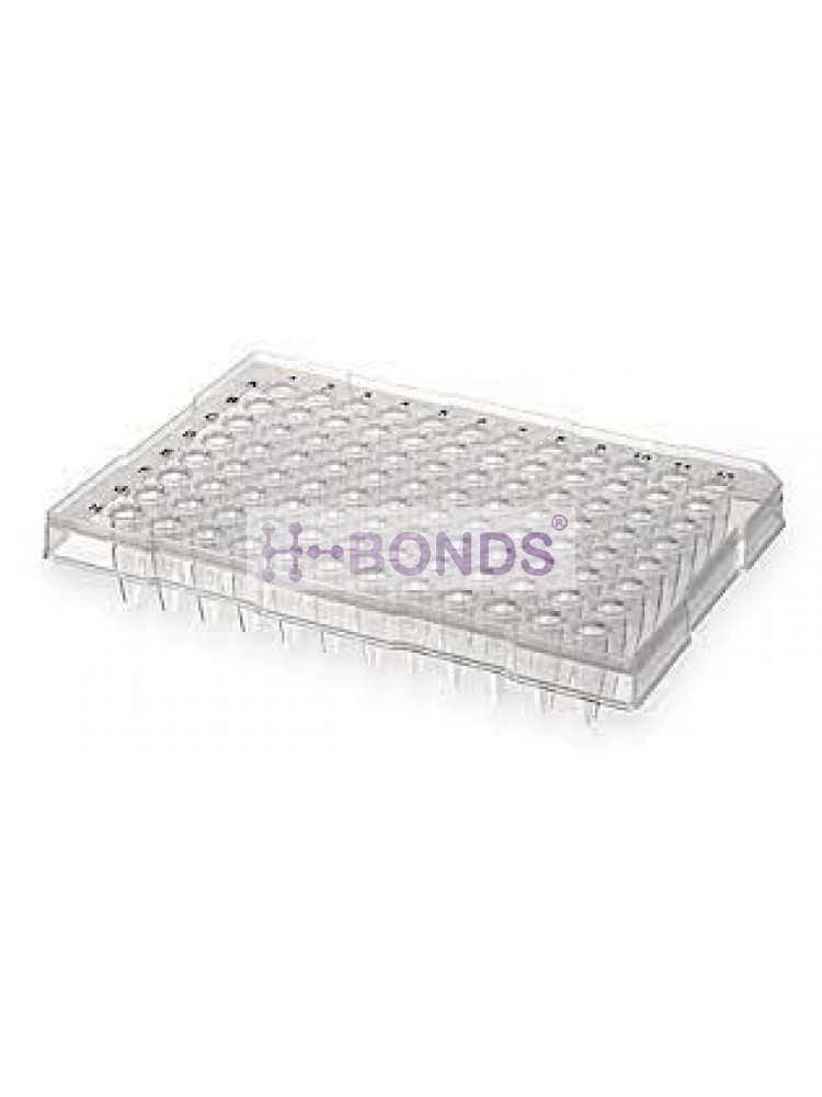 Bioer 0.2ml 96-Well PCR plate Half Skirt clear